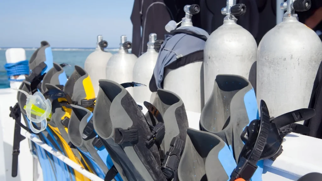 The Complete Hub For Diving & Water Adventure Gear